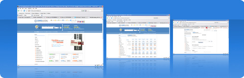 Connex Hosting