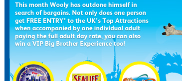 This month Wooly has outdone himself in search of bargains